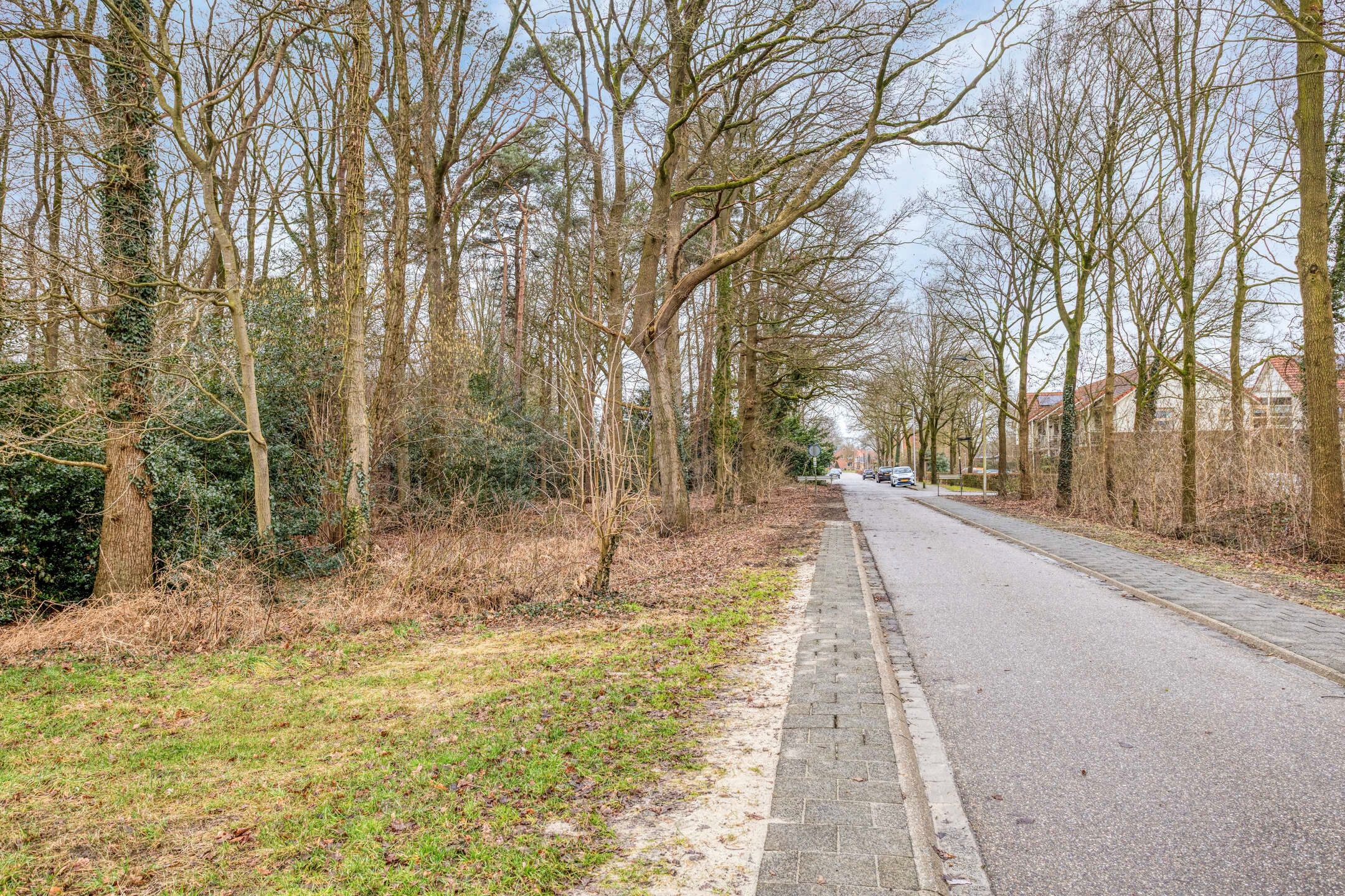 Photo 57 of Berghumerstraat 36