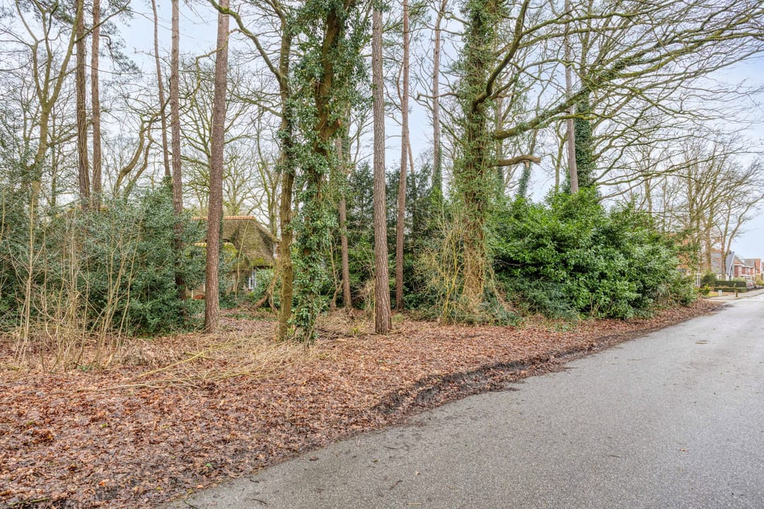 Photo 56 of Berghumerstraat 36