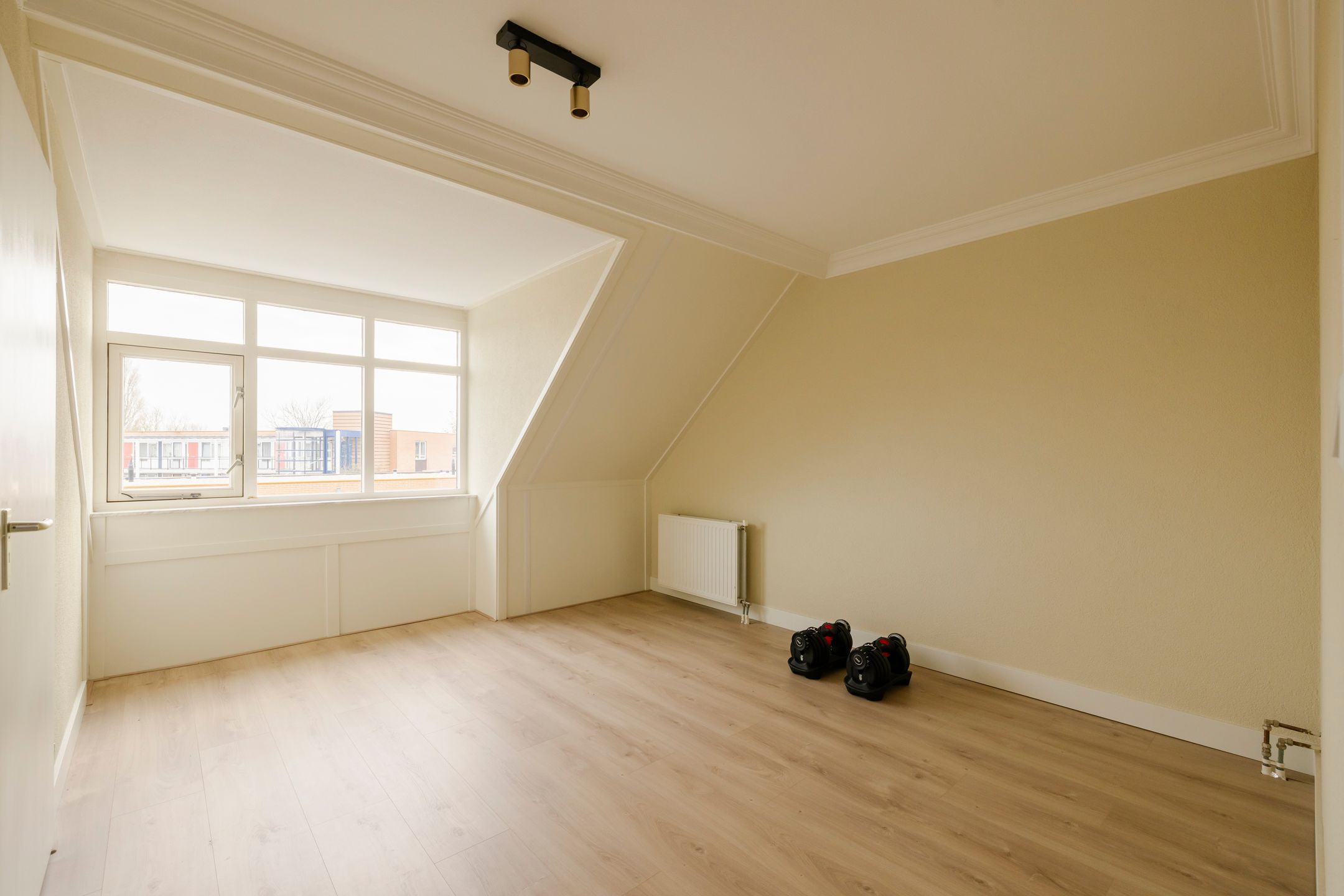 Foto 36 van A.L. Dyserinckstraat 61