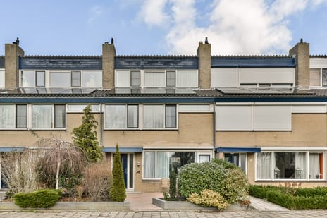 undefined main image