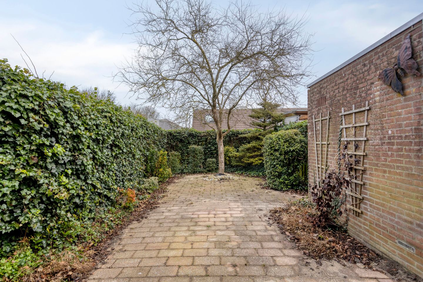 Foto 34 van Steendrukkerstraat 25