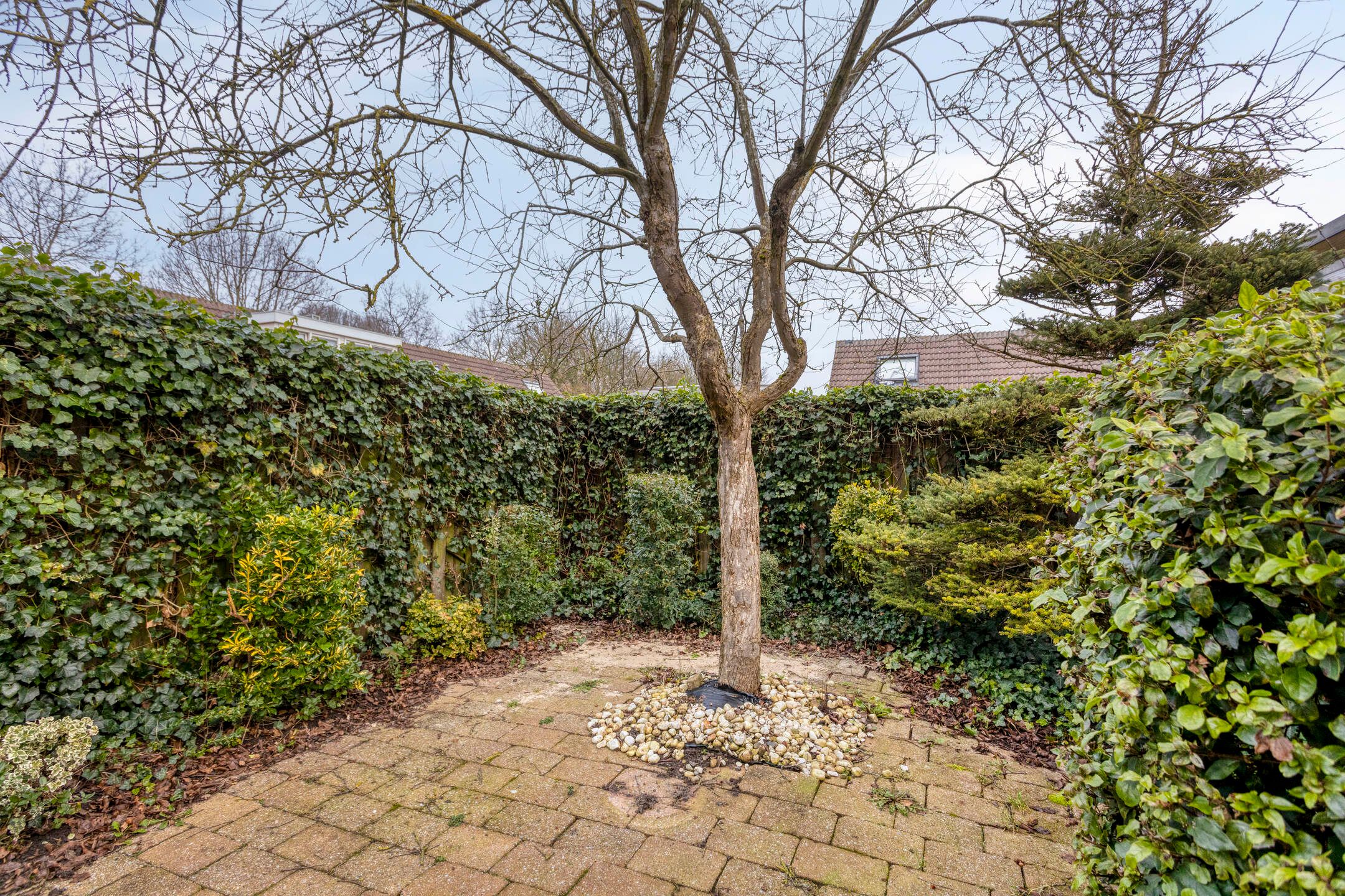 Foto 36 van Steendrukkerstraat 25