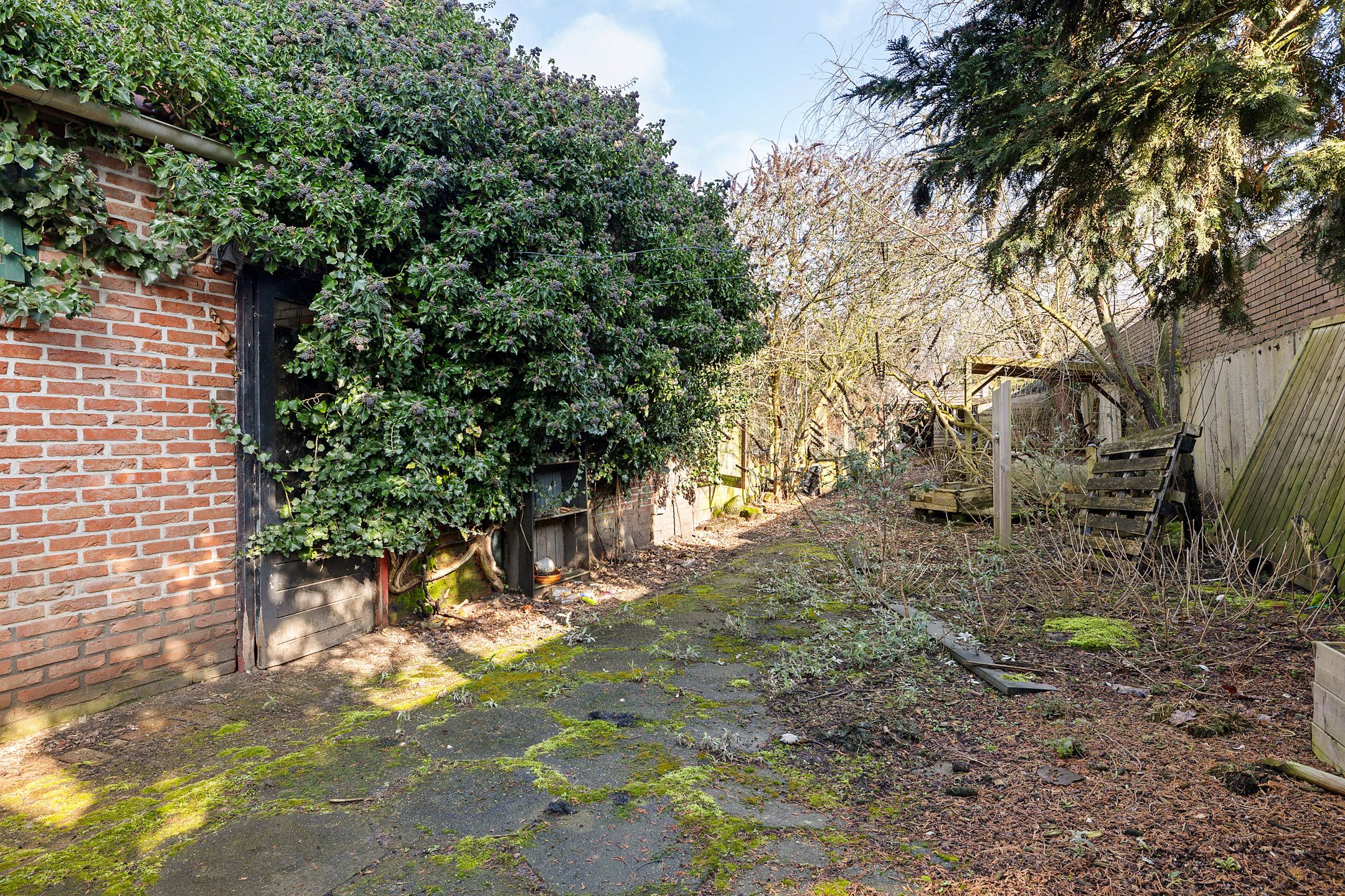 Photo 9 of Wolfsbergenweg 32