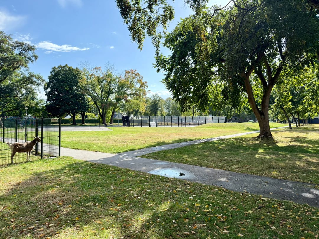 Photo 31 of Wolfsbergenweg 32