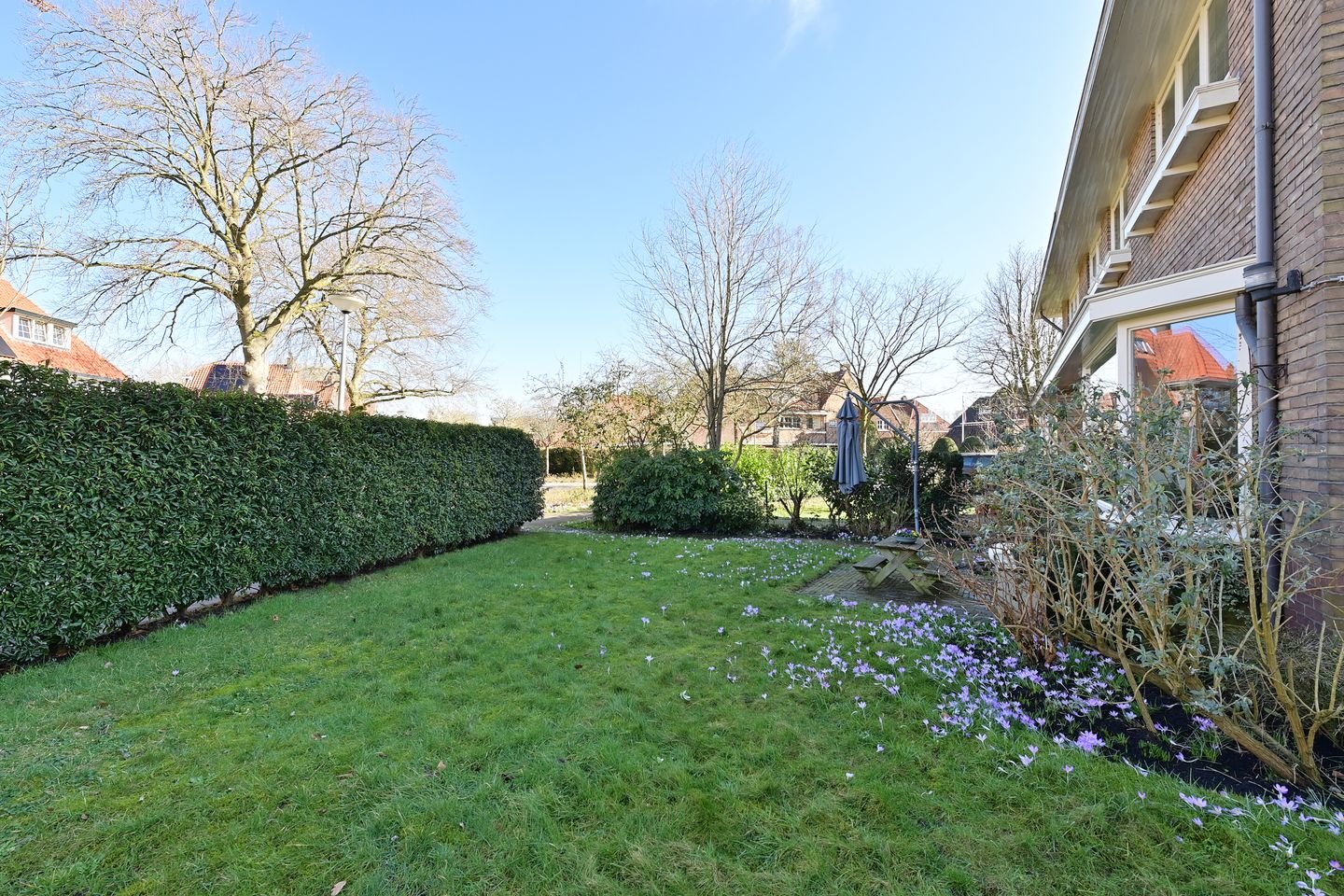 Photo 5 of Graaf Willem de Oudelaan 36