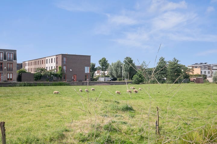 Foto 42 van Mijndenhof 23