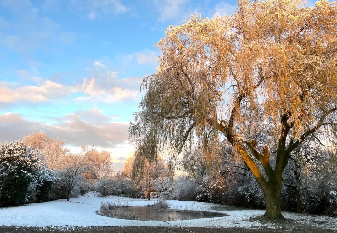 Foto 1 van Fiifhuzen