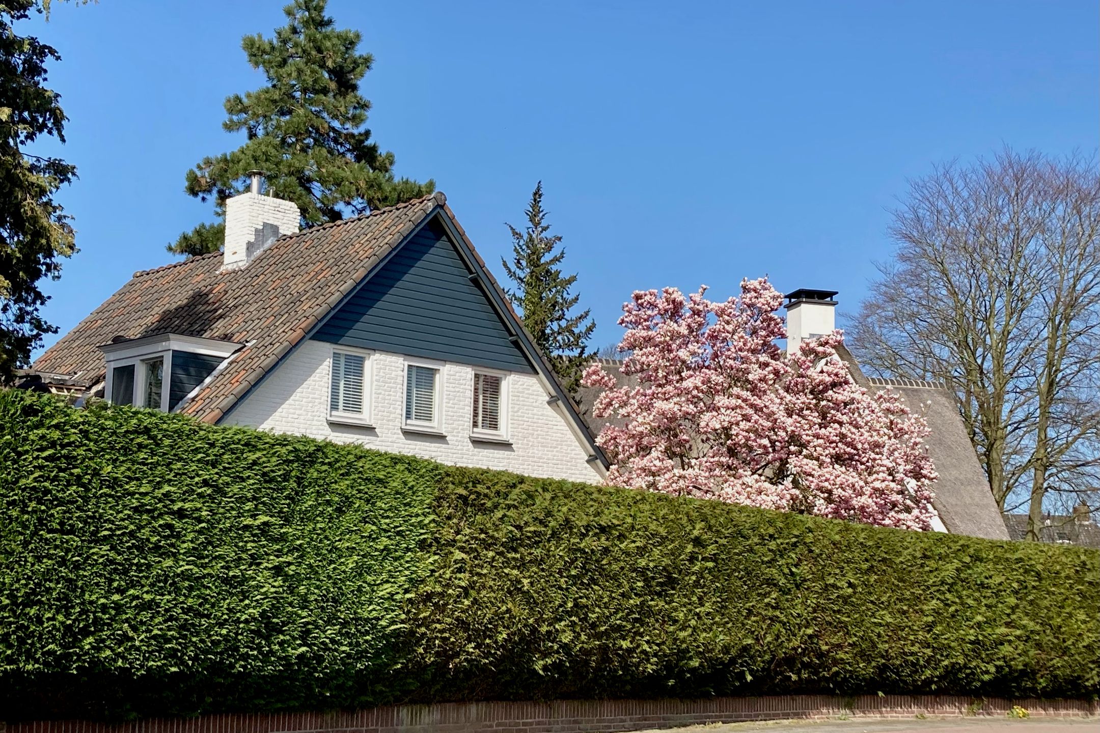 Foto 6 van Nieuwe Bussummerweg 104