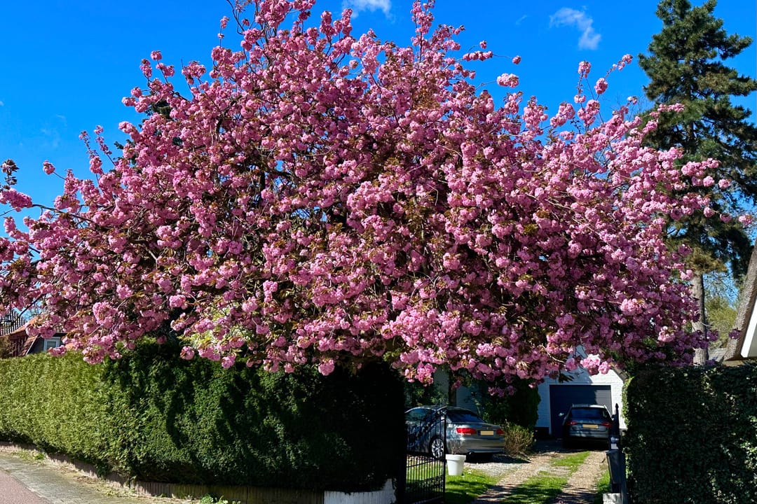 Foto 8 van Nieuwe Bussummerweg 104