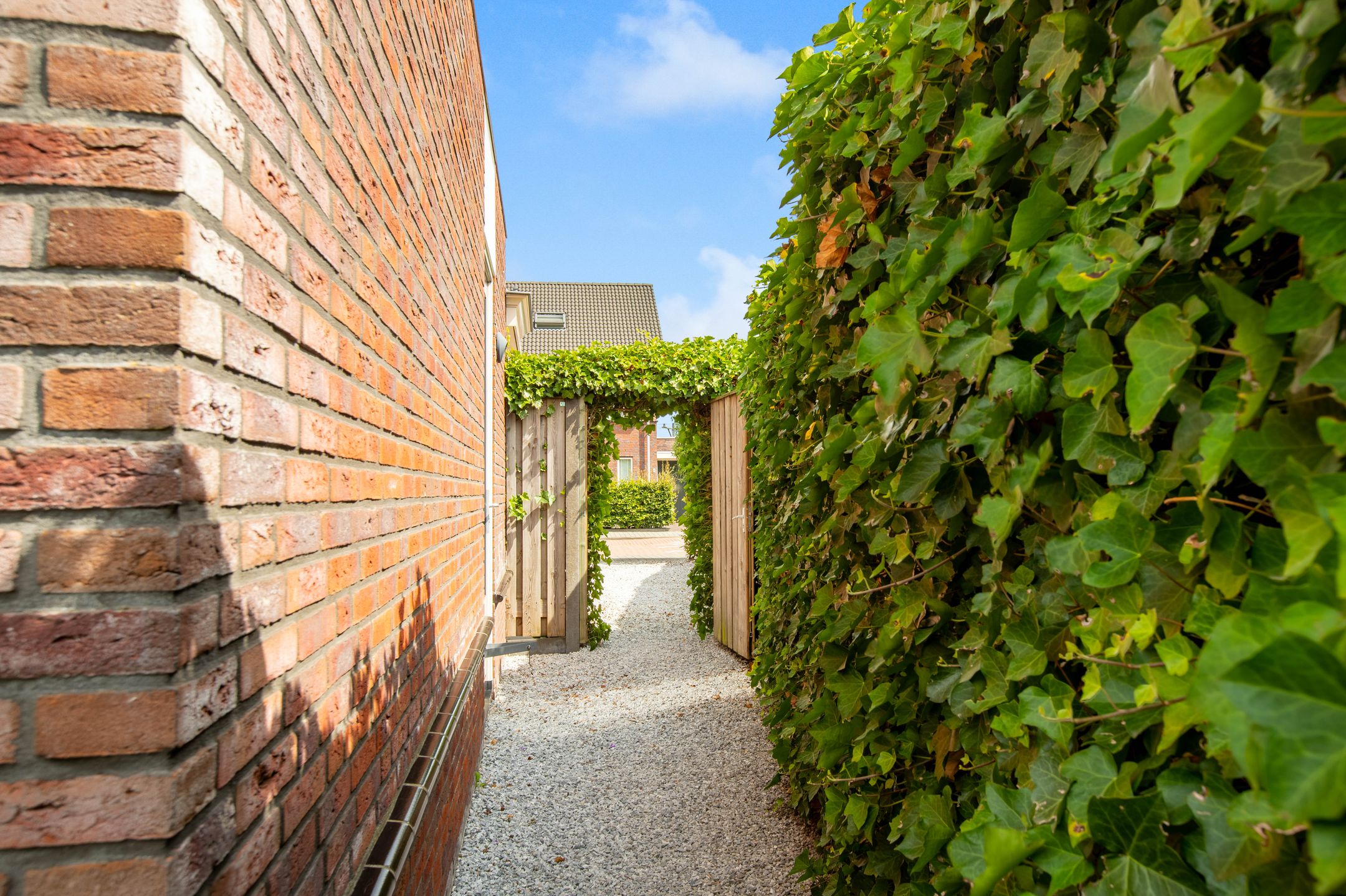 Photo 42 of Kruiskamplaan 26