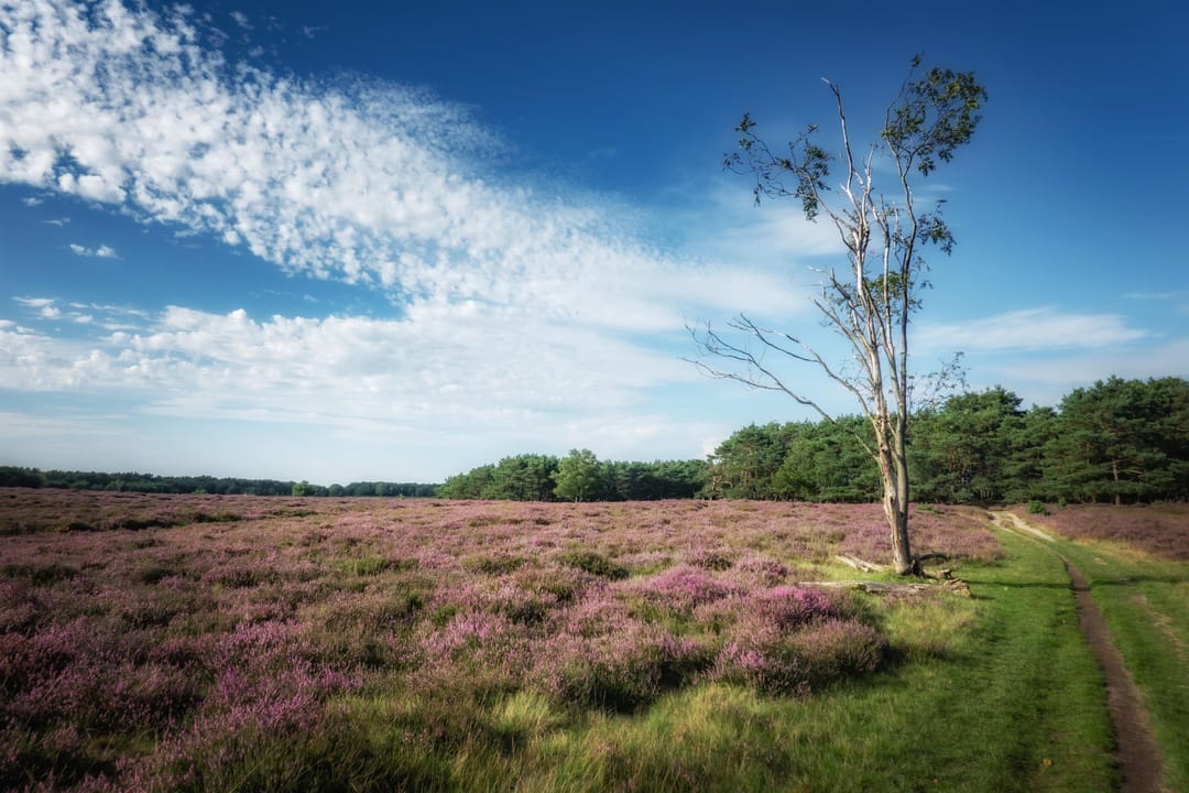 Photo 26 of Bakkerstraat 127