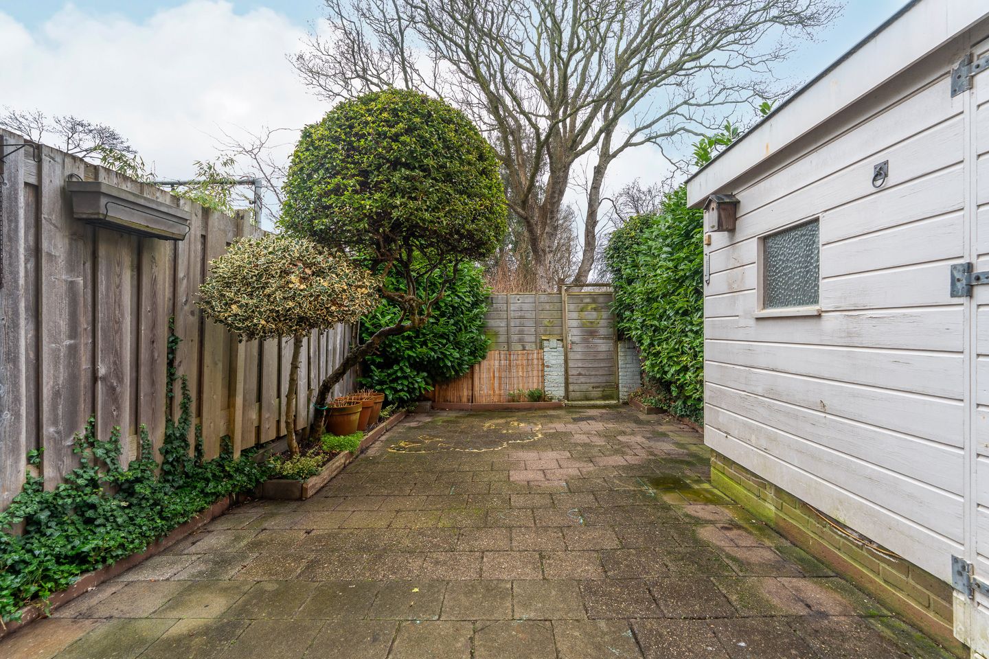 Photo 5 of Zonnebloemstraat 3