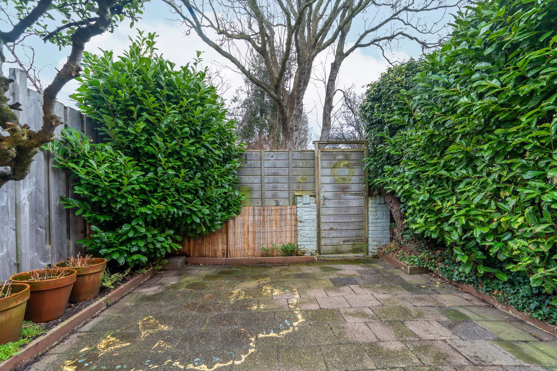 Photo 21 of Zonnebloemstraat 3