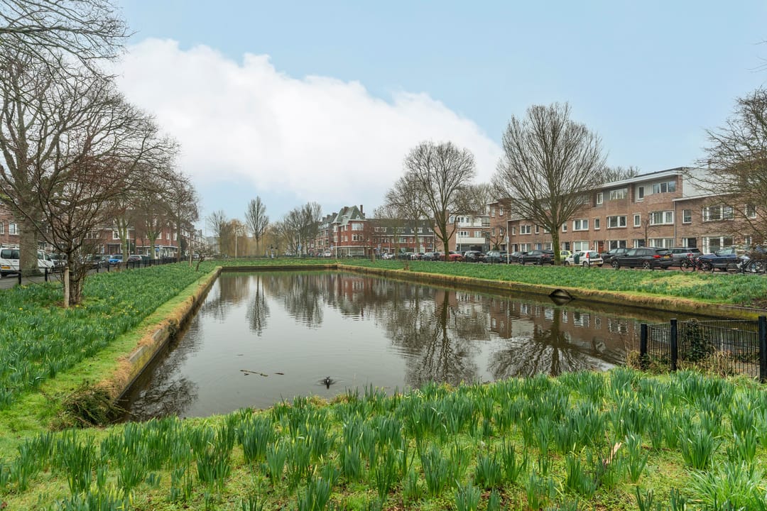 Photo 43 of Zonnebloemstraat 3