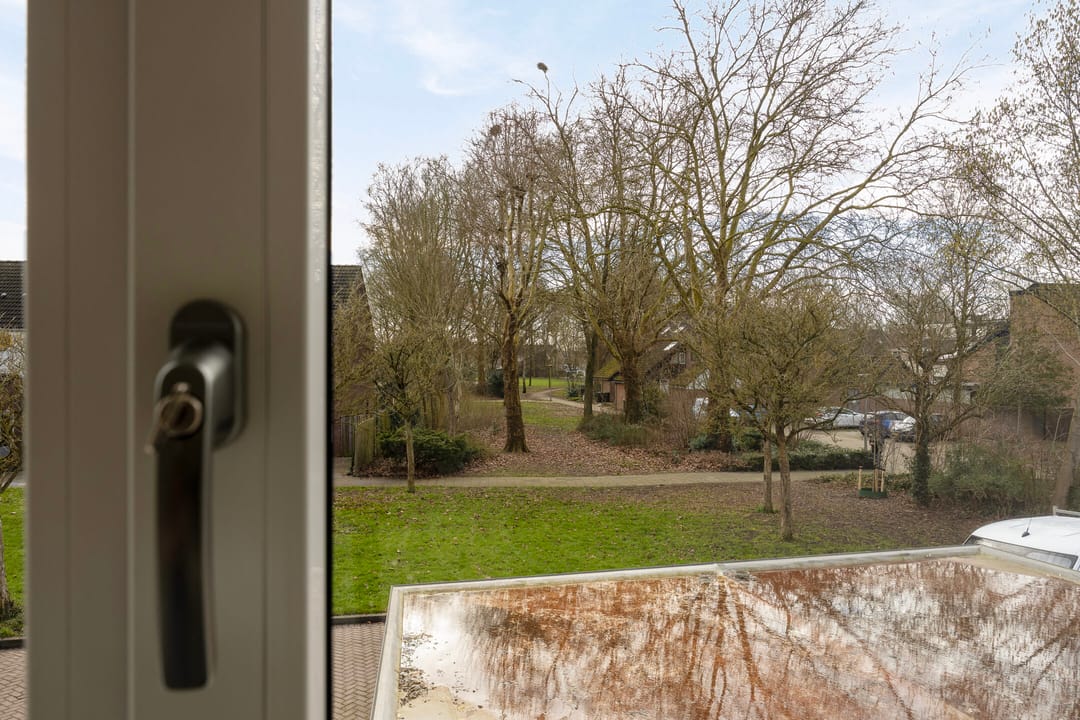 Foto 31 van Buitentuin 50