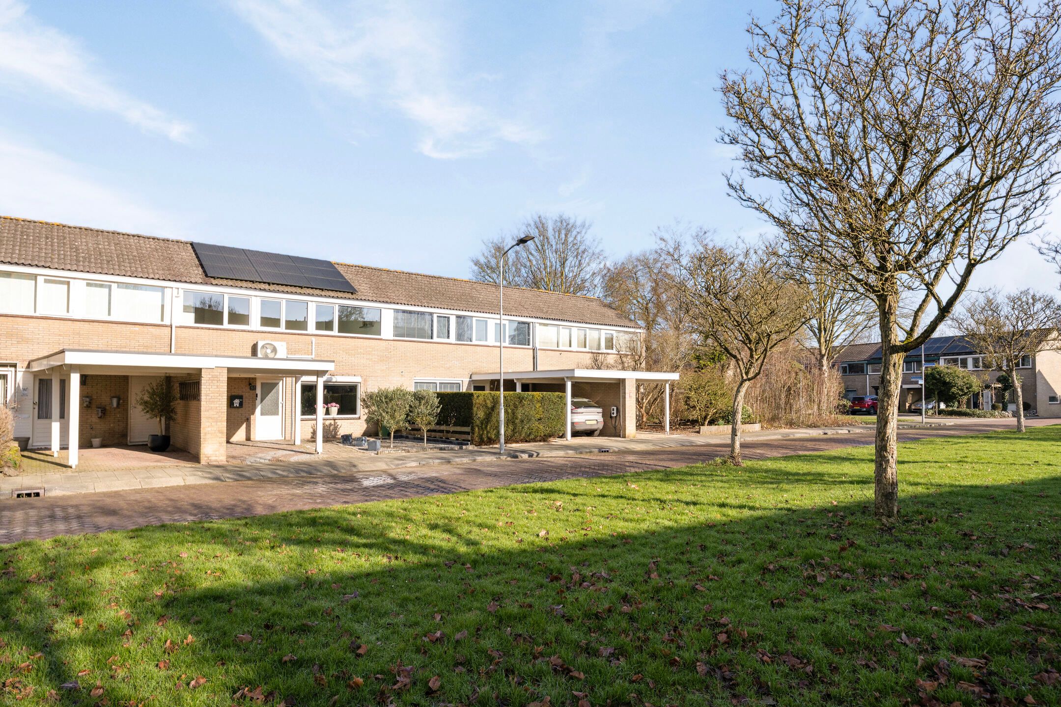 Foto 39 van Buitentuin 50