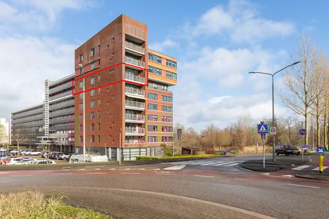 undefined main image