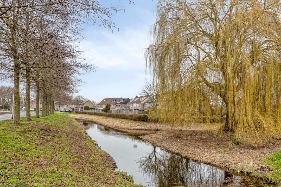 Foto 23 van Polaris 33