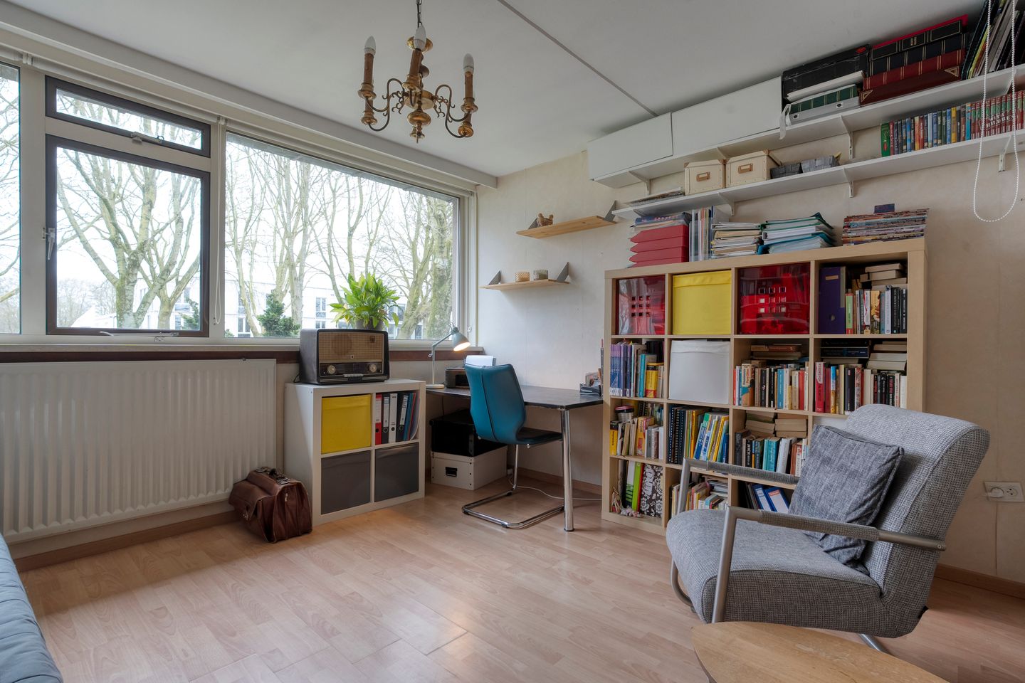 Foto 29 van Zenegroen 5