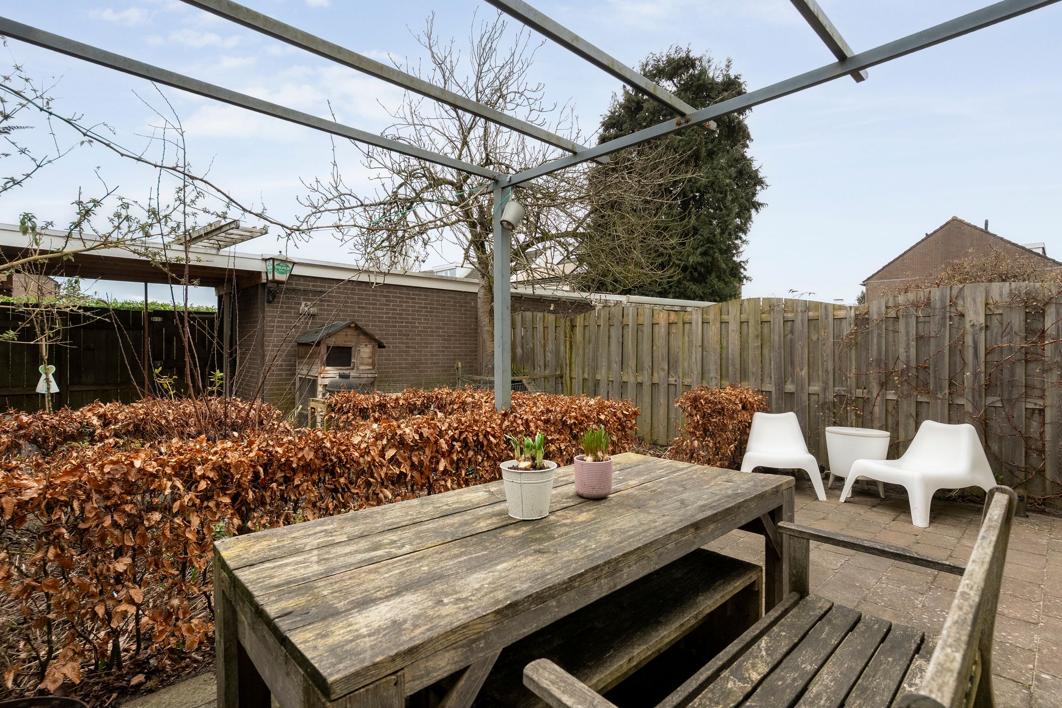 Foto 39 van Zenegroen 5