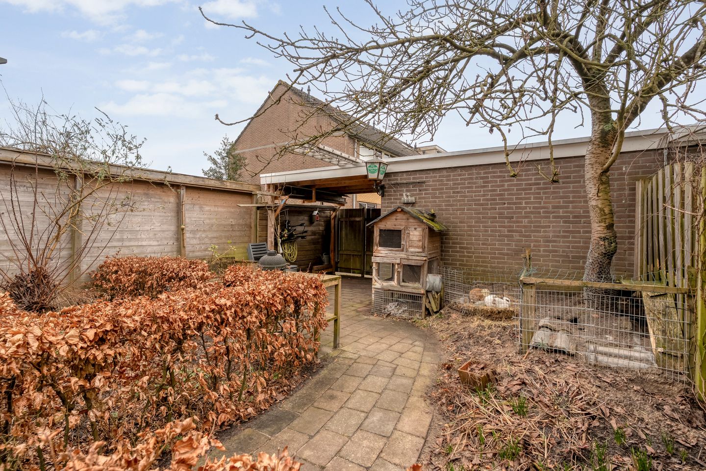 Foto 40 van Zenegroen 5