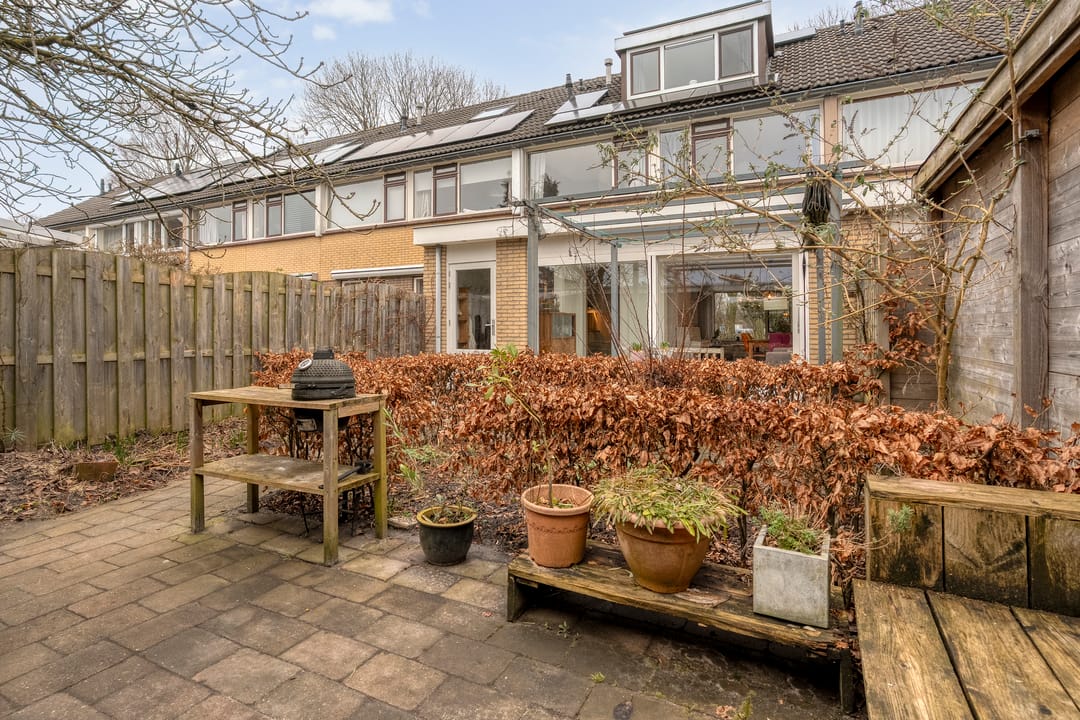 Foto 41 van Zenegroen 5