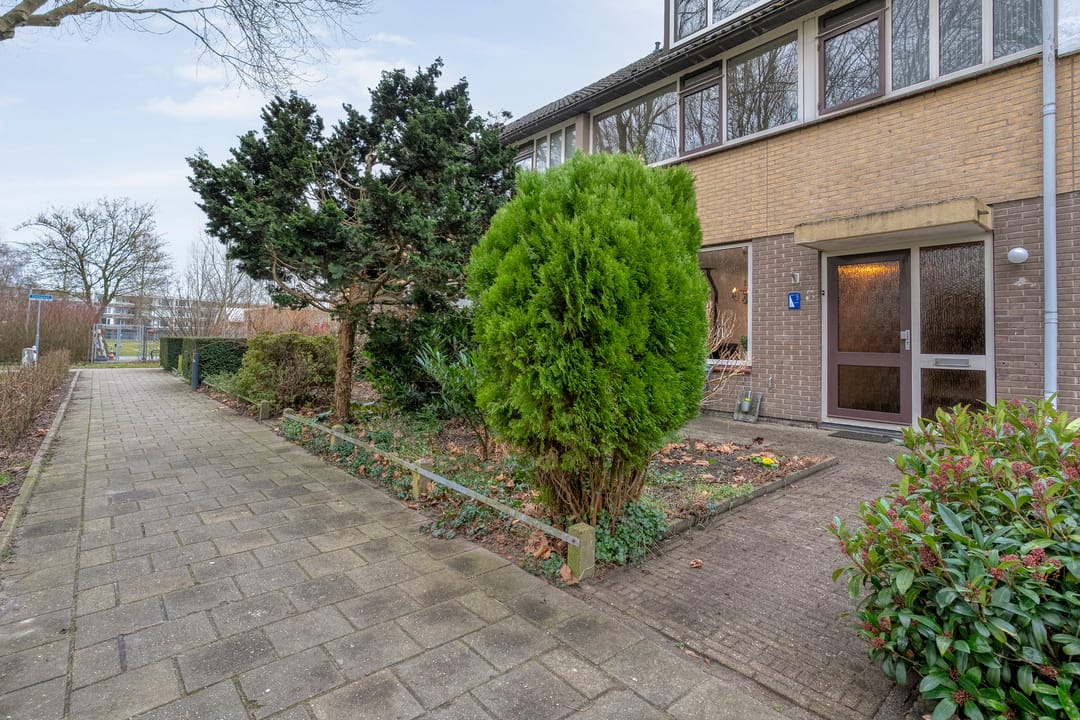 Foto 46 van Zenegroen 5