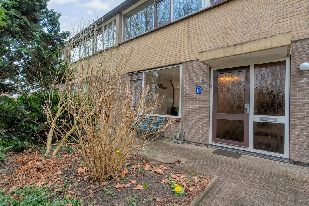 Foto 47 van Zenegroen 5