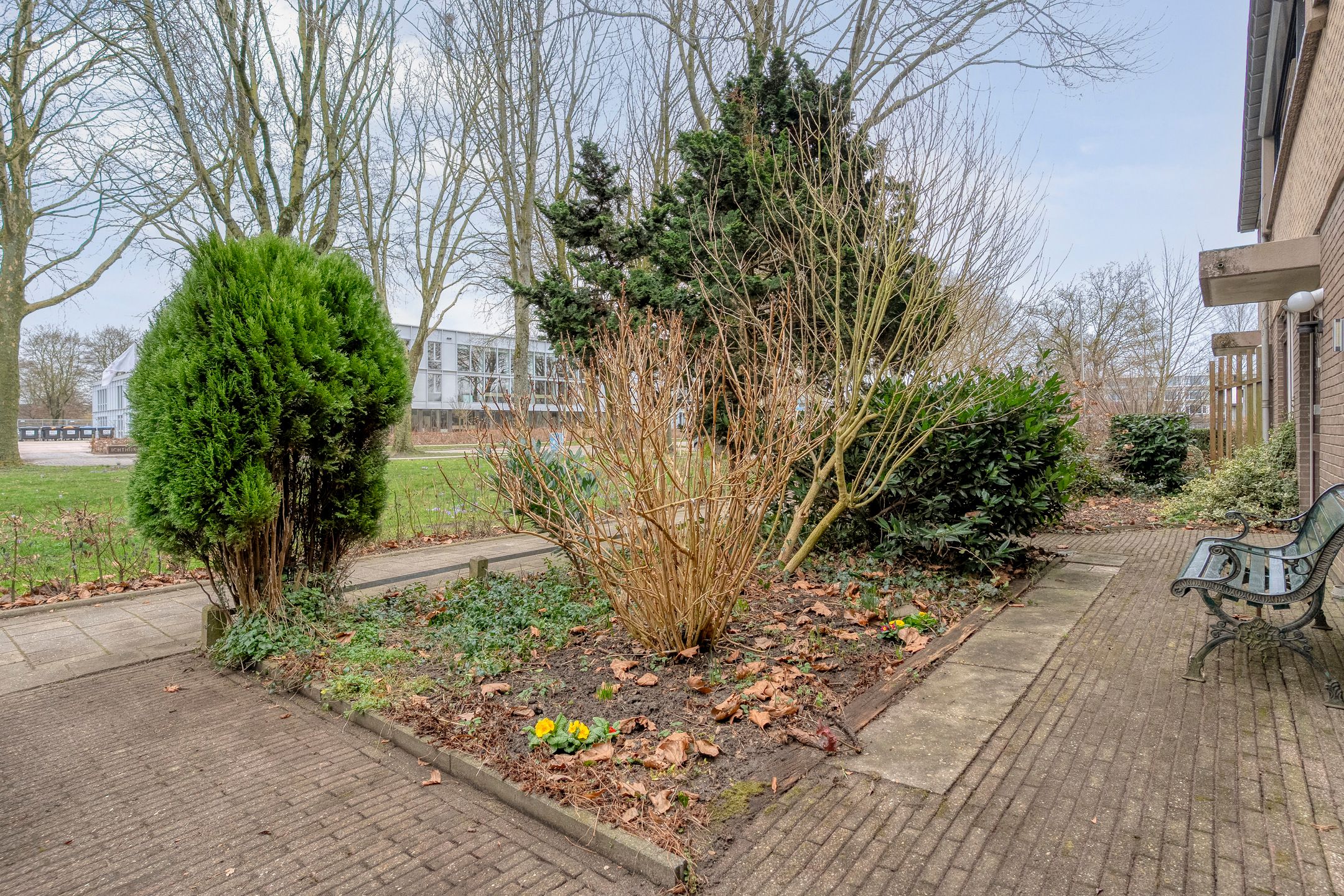 Foto 48 van Zenegroen 5