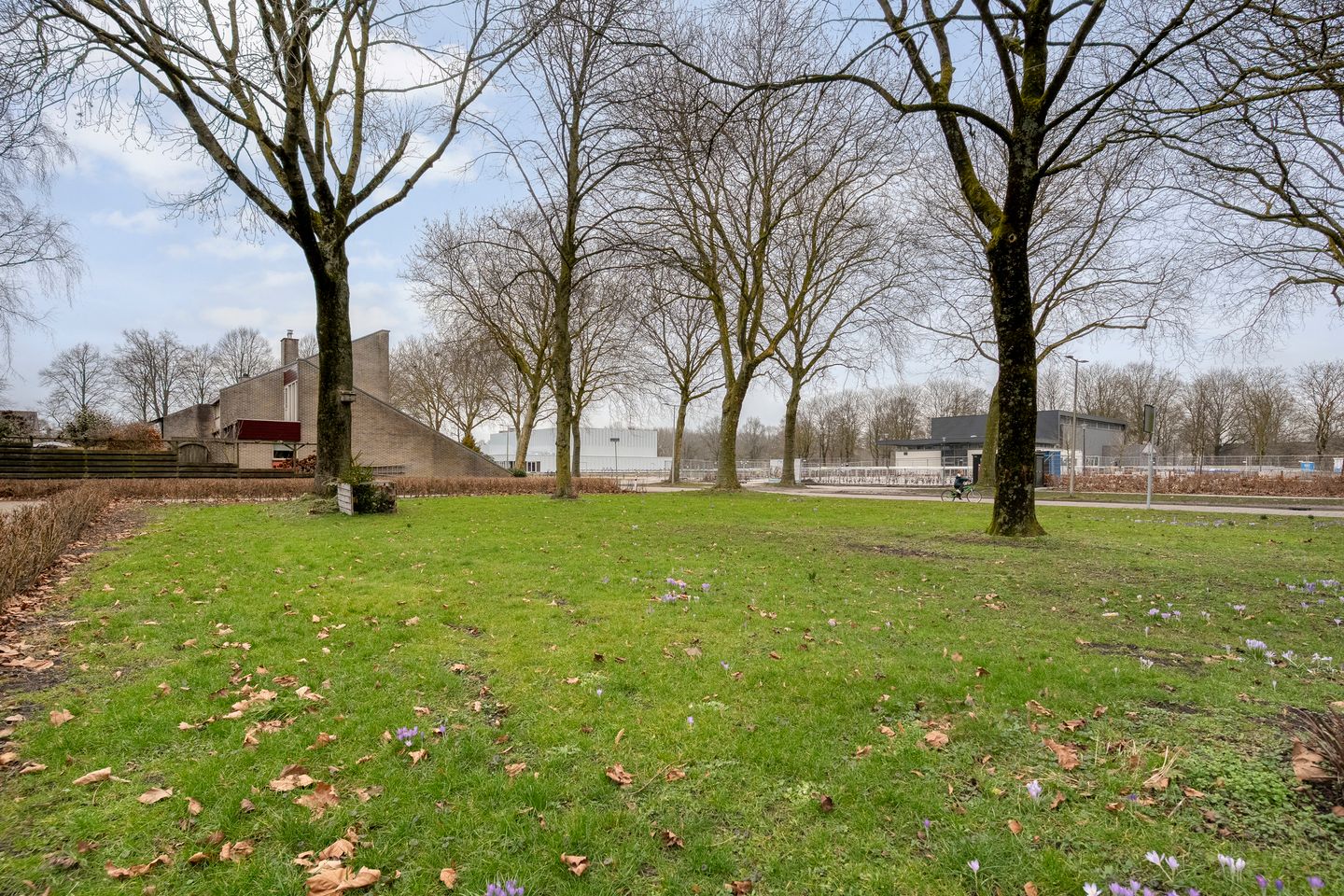 Foto 49 van Zenegroen 5