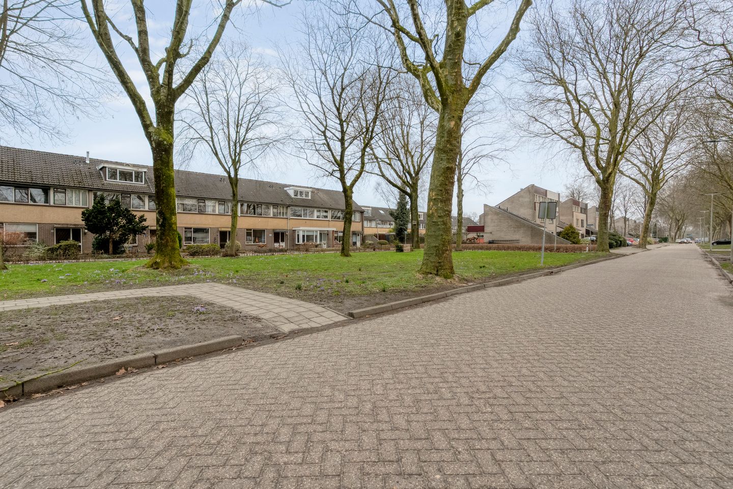 Foto 50 van Zenegroen 5