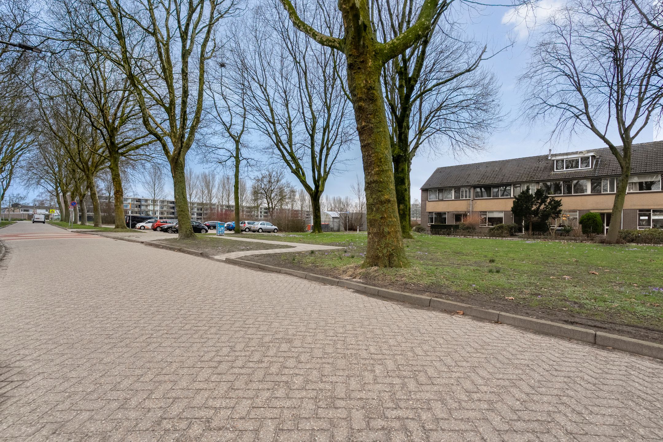 Foto 51 van Zenegroen 5