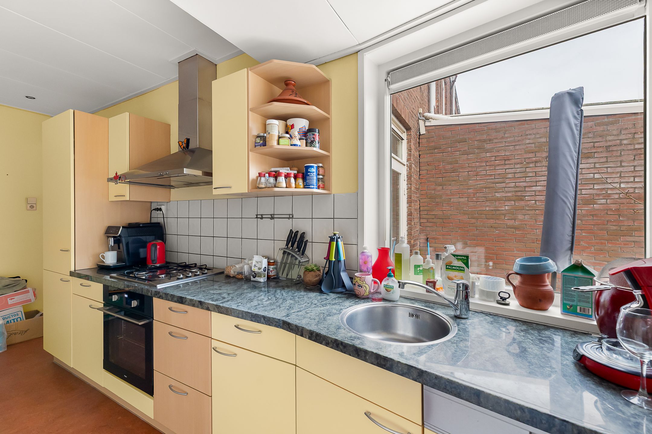 Photo 18 of Bleek 20