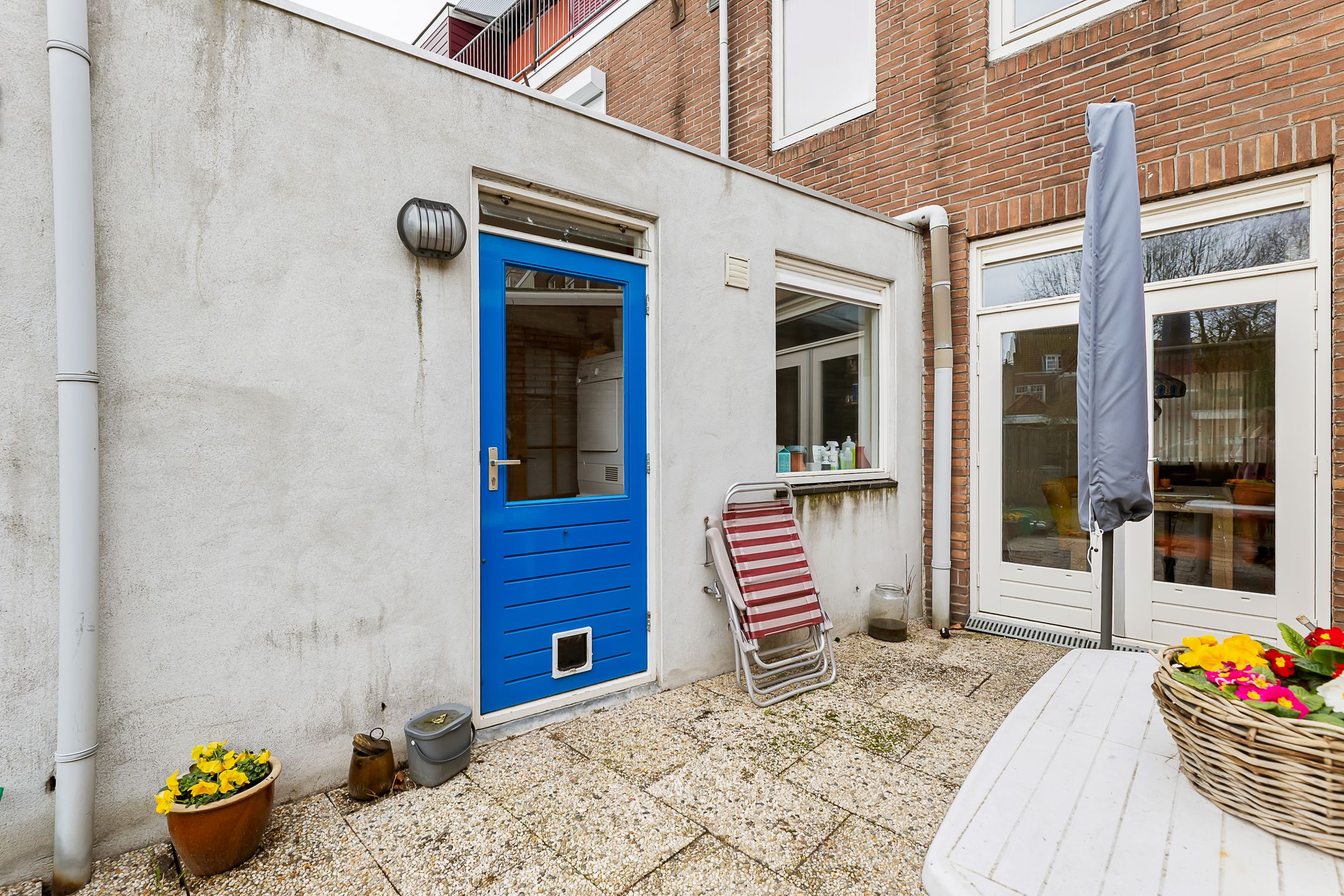 Photo 21 of Bleek 20