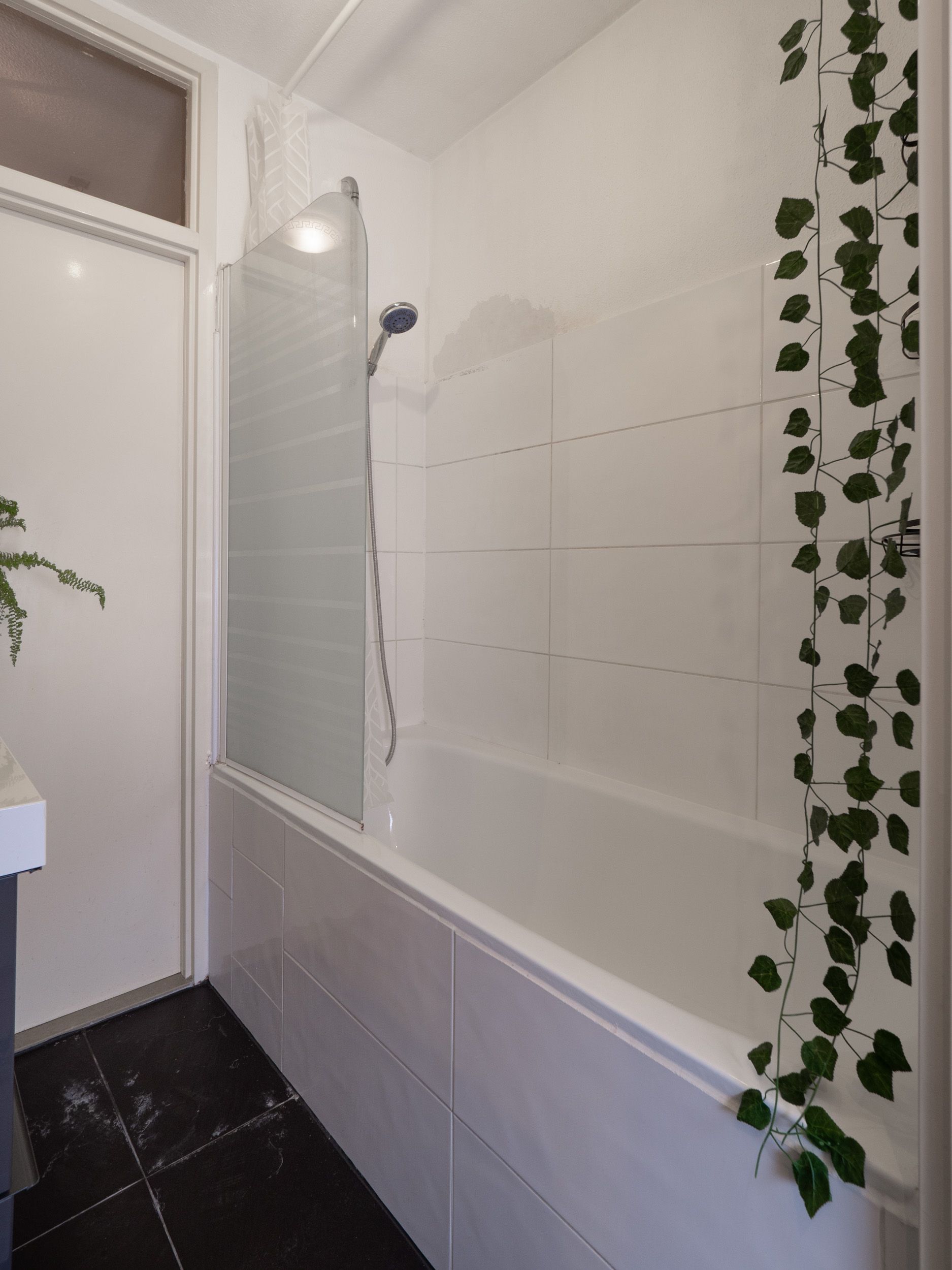 Foto 9 van Zwanenveld 8350