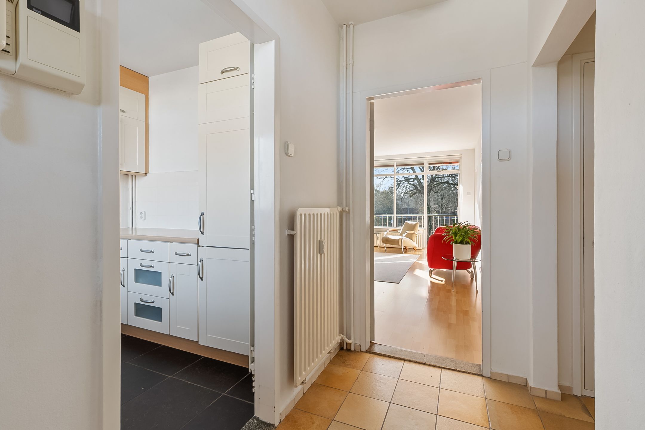 Photo 6 of Eslaan 36