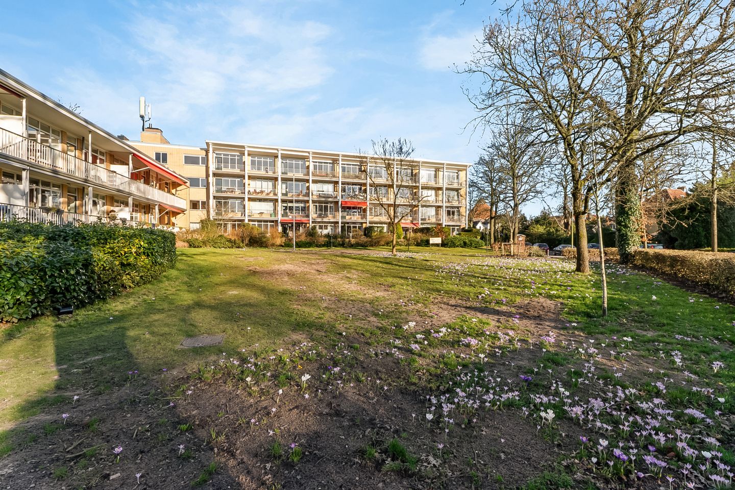 Photo 25 of Eslaan 36