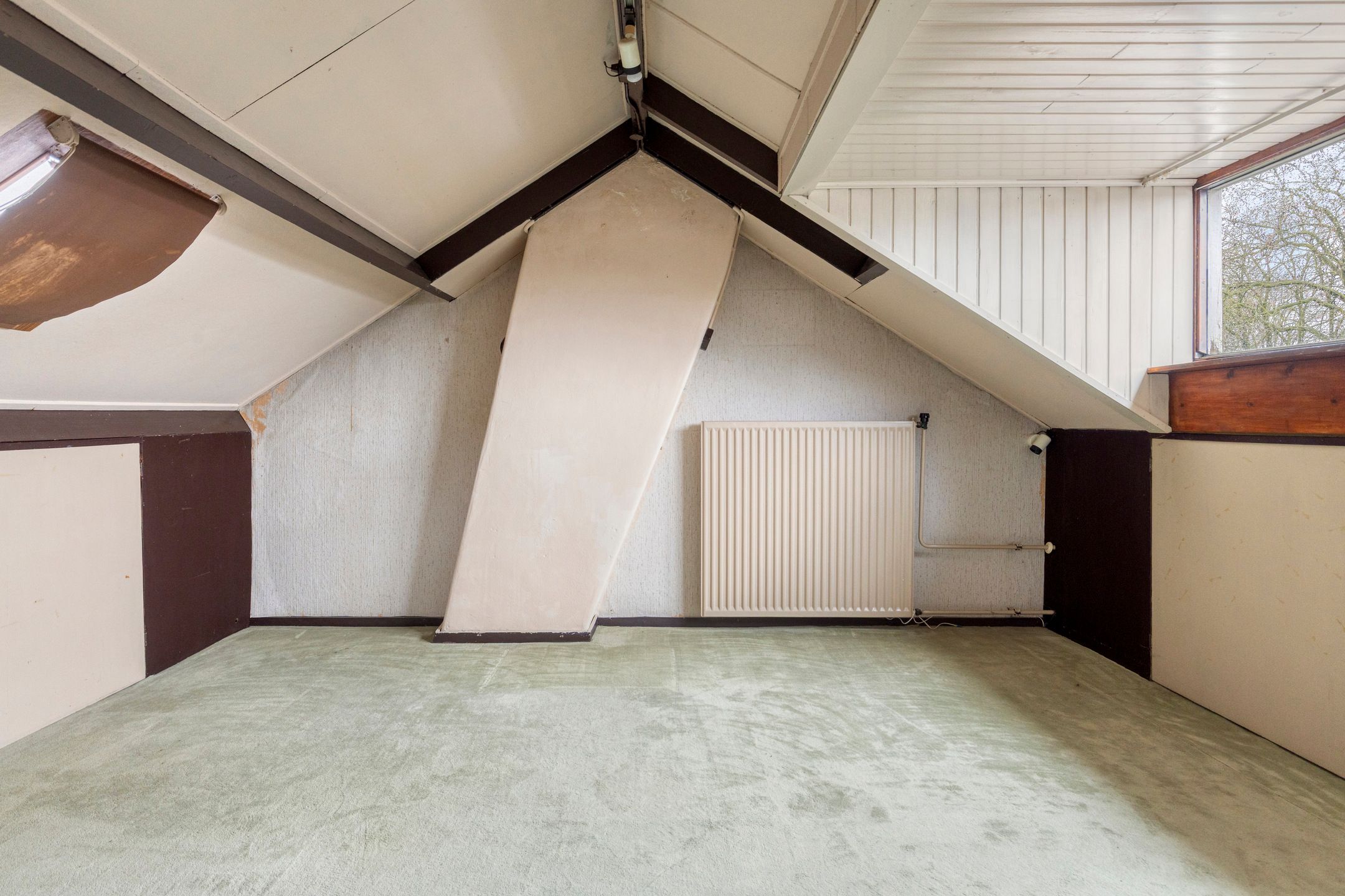 Photo 27 of Hazelaar 50