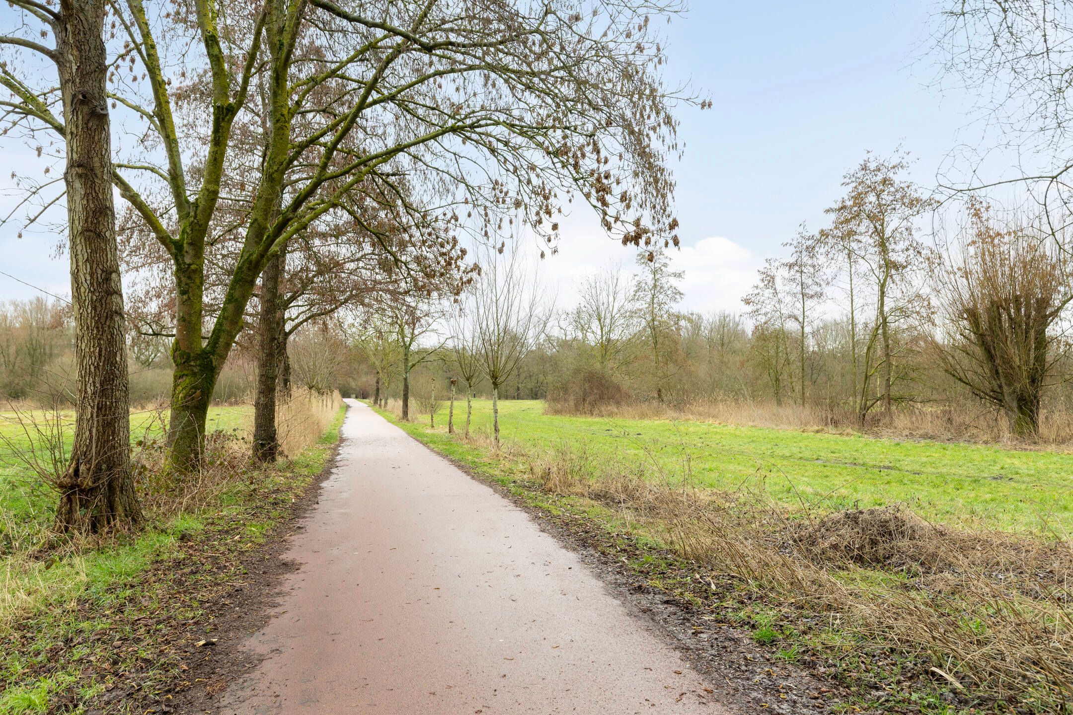 Photo 36 of Hazelaar 50