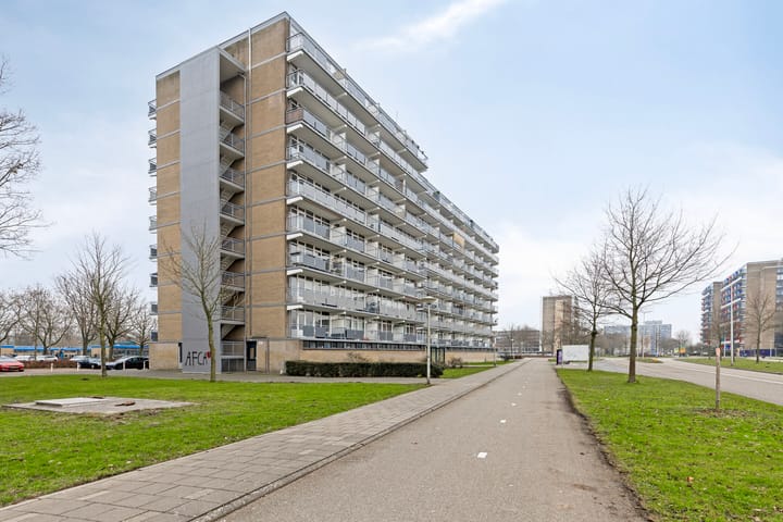 Lupinesingel 270