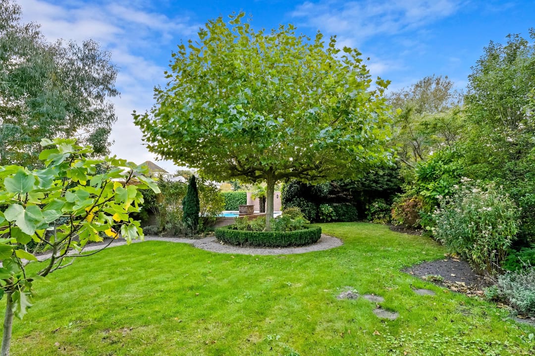 Photo 56 of Johan Watelerpad 14