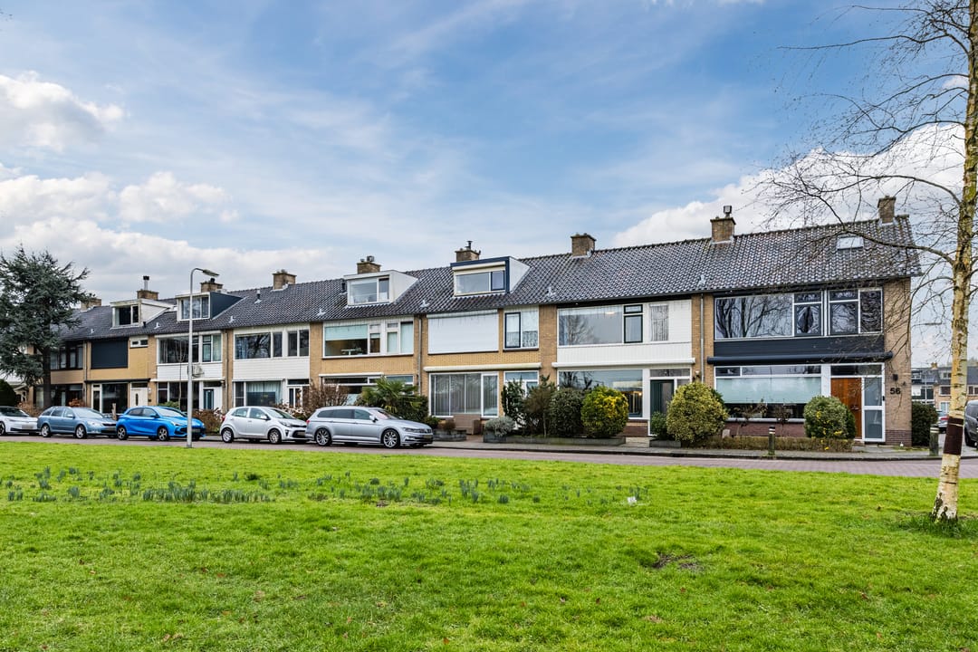 Photo 37 of Wilgenoord 58