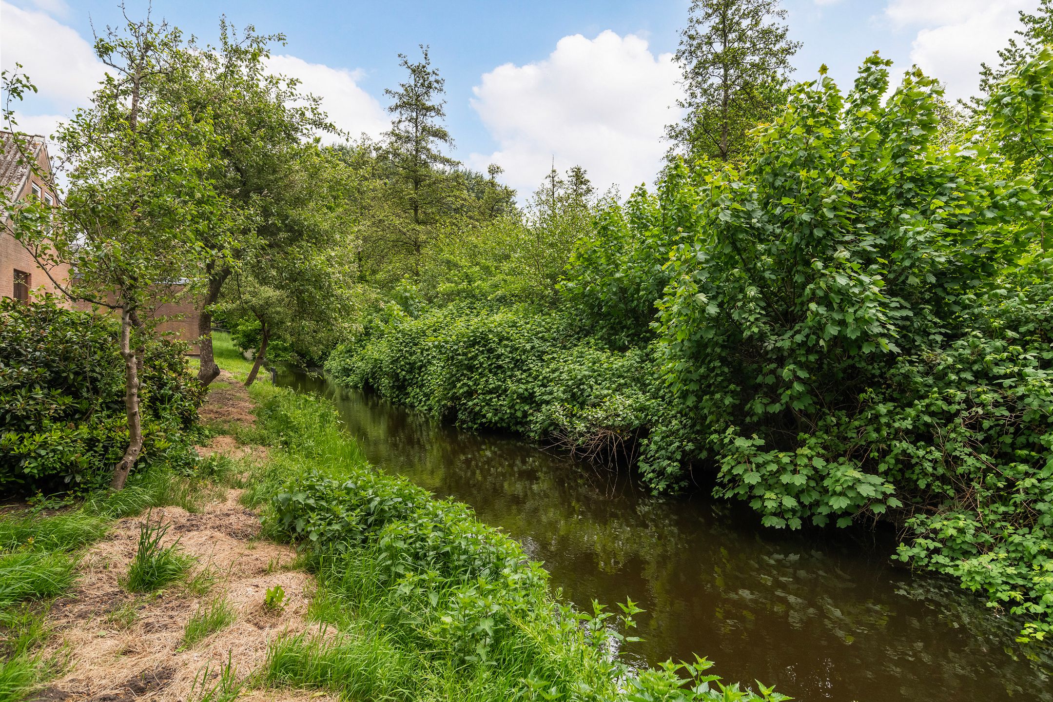 Photo 39 of Wollefoppenweg 89