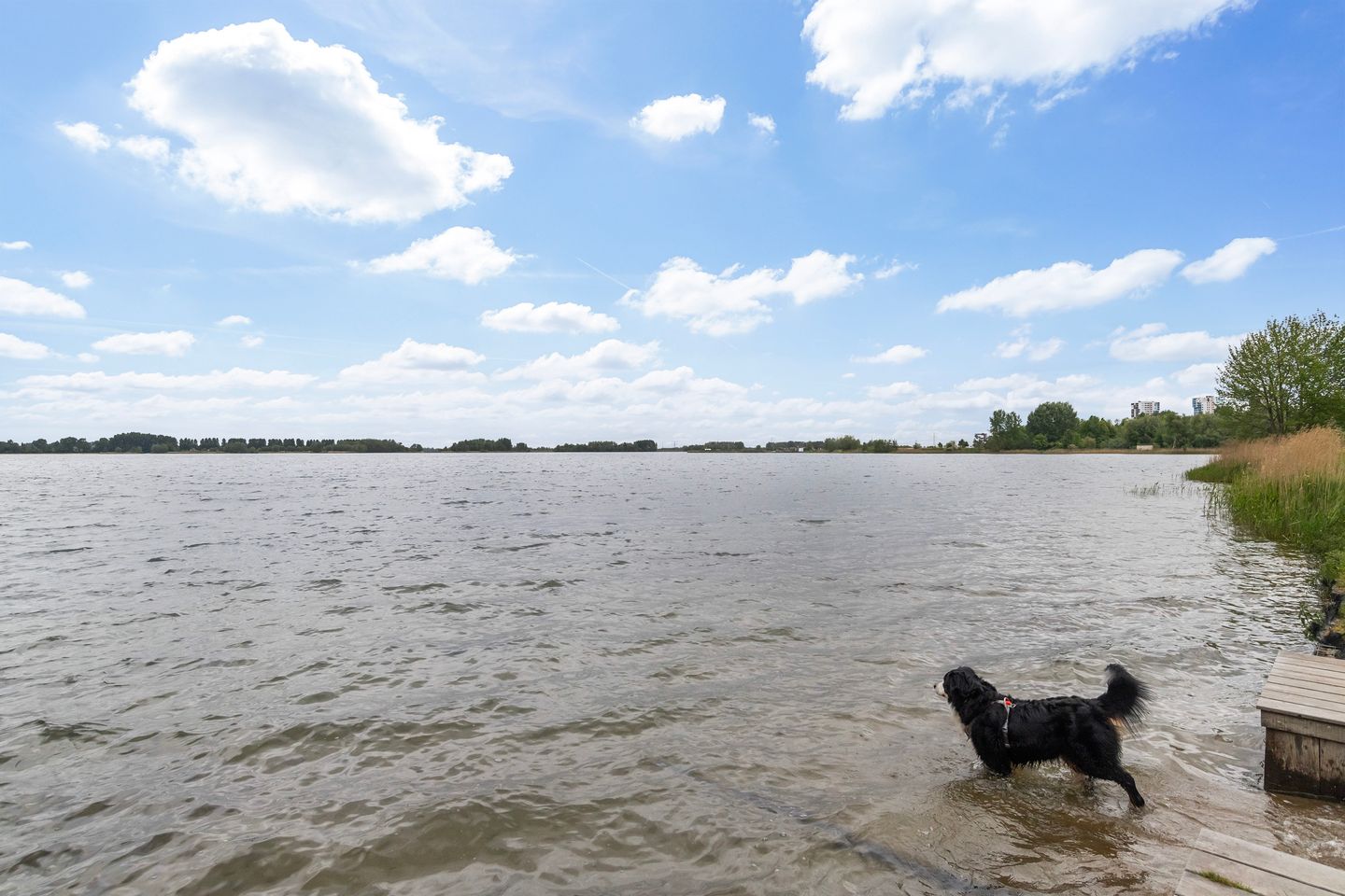 Photo 44 of Wollefoppenweg 89