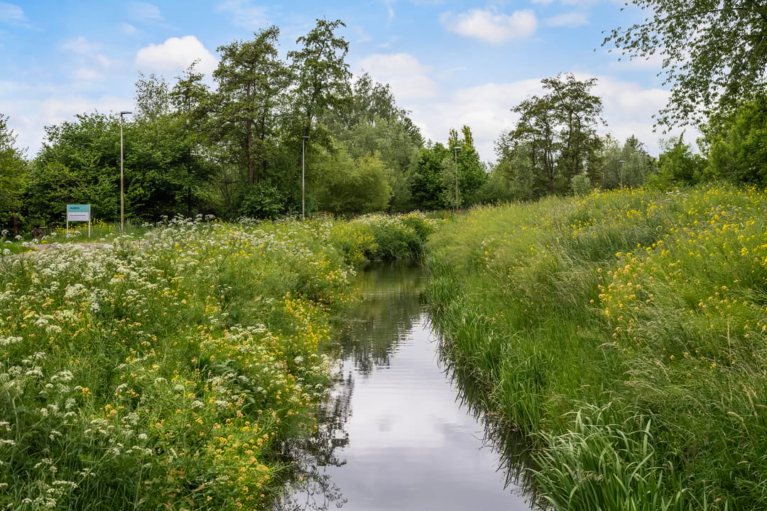 Photo 47 of Wollefoppenweg 89