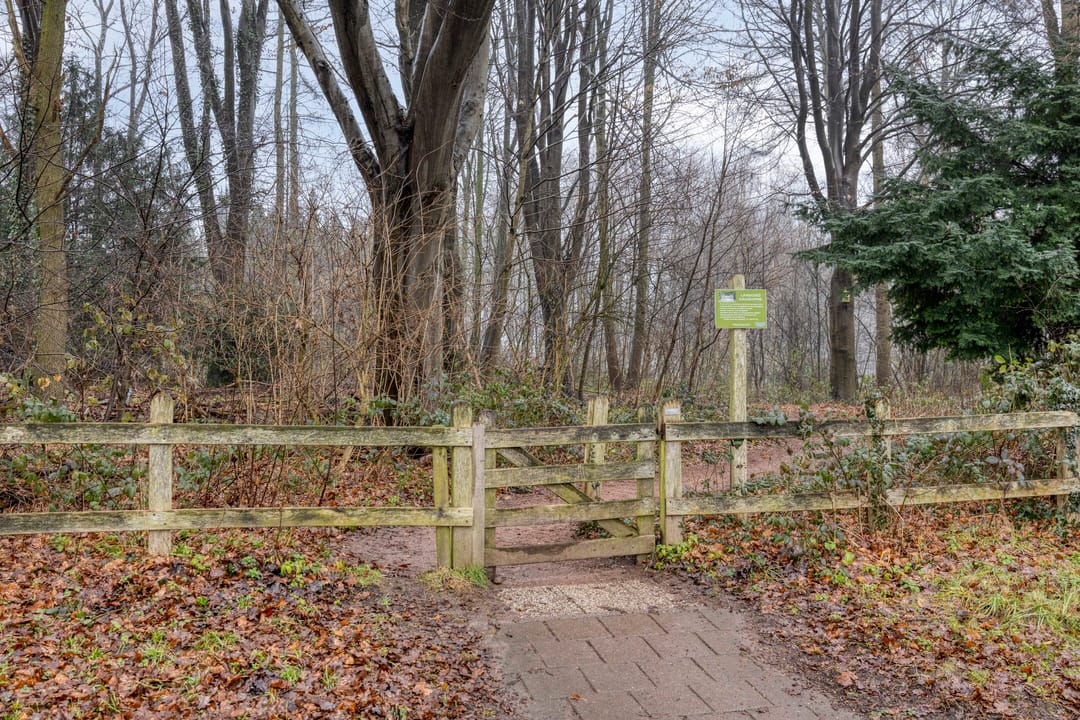 Foto 62 van Hoge Haerlaan 29