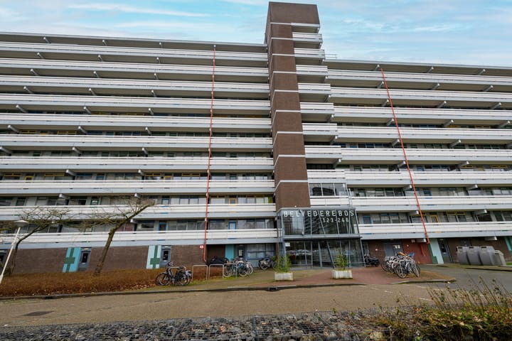 Foto 4 van Belvédèrebos 212