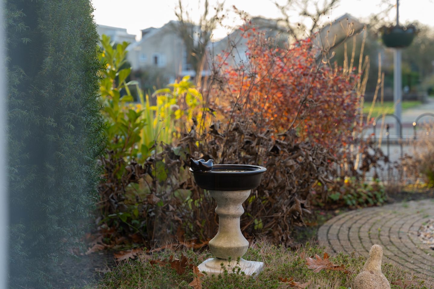 Foto 50 van Beukenhof 29