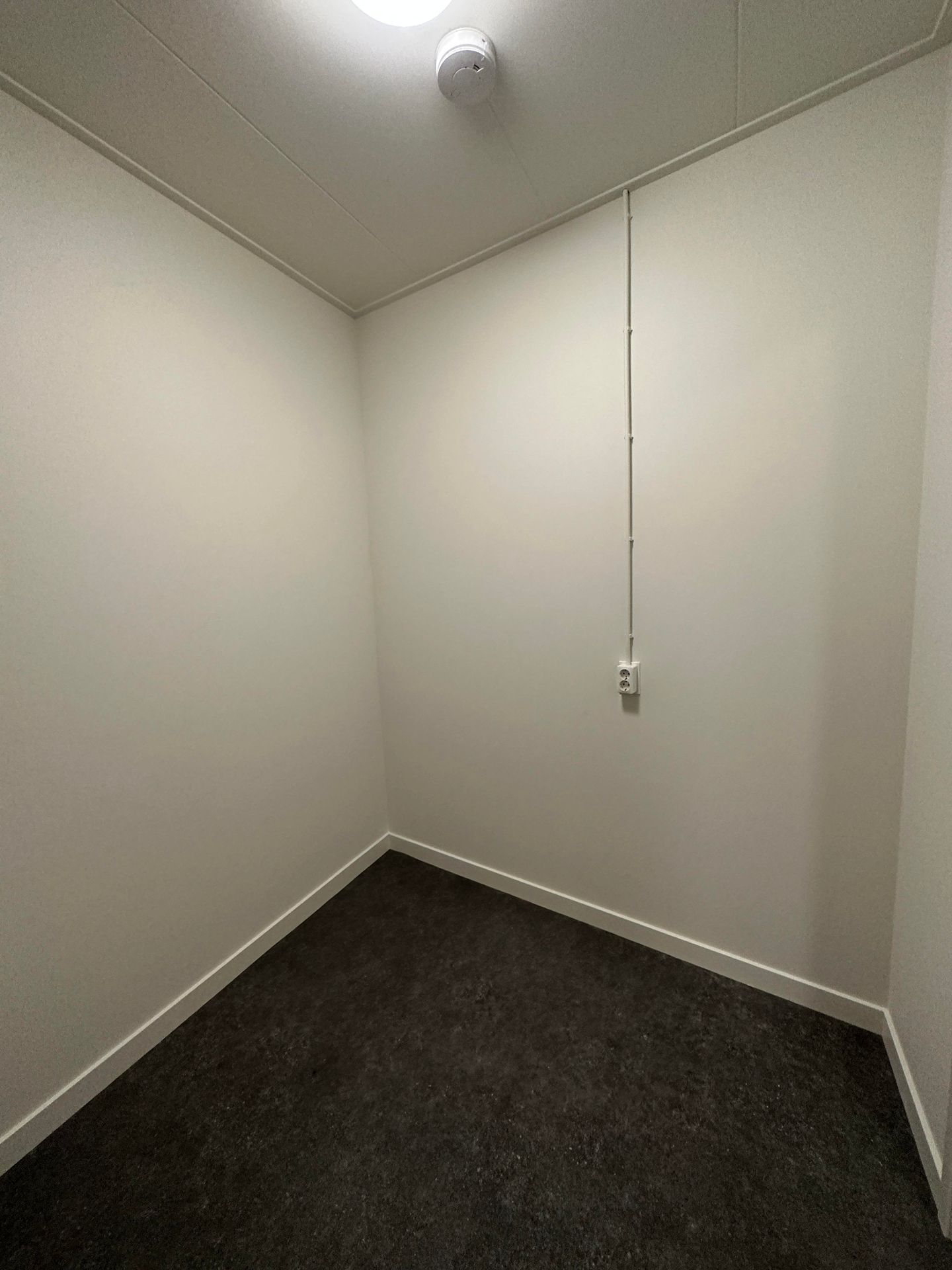 Photo 19 of Plantage 8