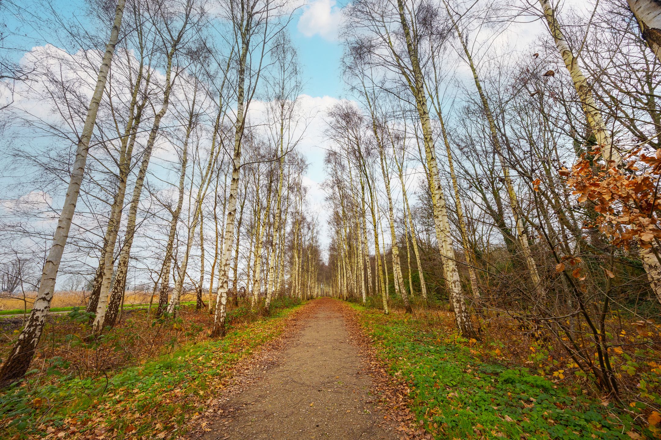 Foto 42 van Pretoriadreef 14